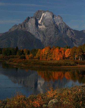 Mt. Moran