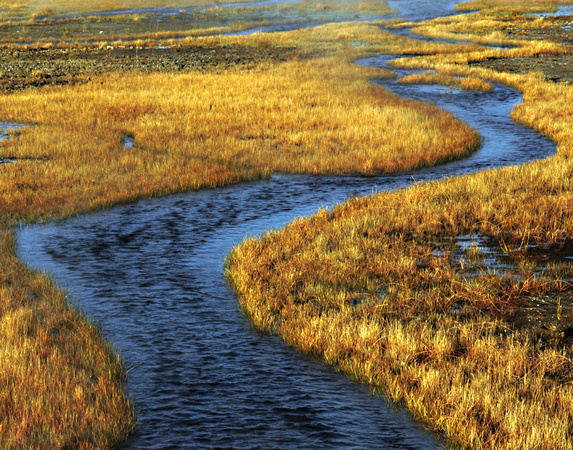 Tangle Creek