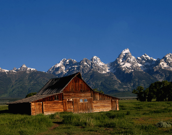 Mormon Row